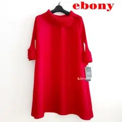 新品タグ付き　ebony エボニー　プリーツ　ビジュー　チュニック ワンピースのサムネイル