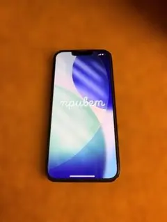 米国版 iPhone 13 128GB ブラック　背面割れ