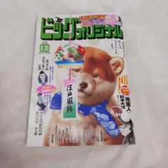 ビッグオリジナル 2026年8月20日号 定価510円