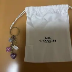 COACH キーホルダー チャーム と巾着（ジャンク）