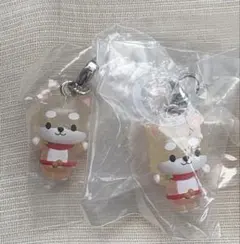 JOCHUM めじるしアクセサリー まめちぃ 豆原一成