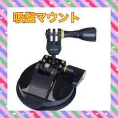 Item thumbnail for item 8675fb7b-5c92-41b3-8844-91afa797a0bf