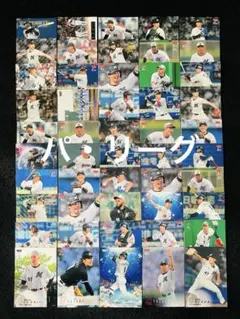 BBM NPB 野球カード パリーグ 約590枚 野球カードまとめ売り