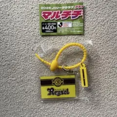 マルチチャーム 柏レイソル