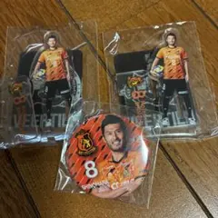 ヴィアティン三重アクスタと缶バッジです