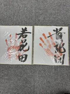 若乃花 若花田 手形 色紙 2枚セット