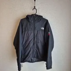 THE NORTH FACE SUMMIT SERIES ダウンジャケット
