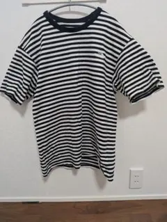 THE NORTH FACE ストライプ Tシャツ