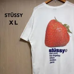❗️期間限定SALE❗️ステューシー BROOKLYN ROSE Tシャツ 白XXL