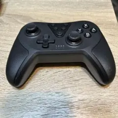 ワイヤレスコントローラー ブラック