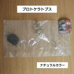 プロトケラトプス ナチュラルカラー 恐竜全身骨格展示室 ガチャ