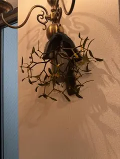 宿り木スワッグ　ヤドリギ　黄色とオレンジの実付き