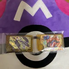 ポケモンフレンダベストタッグスーパートレジャーコライドン、ミライドン