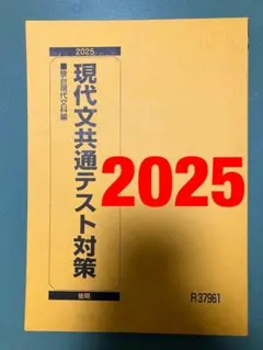 鉄緑会　共通テストデータ統計 テキスト プリントセット 2025年版【最新版】 メルカリ