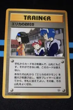 旧裏 エリカのお付き ※マークあり 一眼レフで撮影しております。