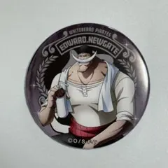 “輩”缶バッジ2020 SPORTS エドワード・ニューゲート 白ひげ