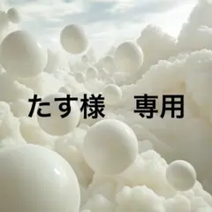 たす様　専用　 2点 まとめNo.146 No.131