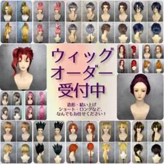 受付中】ウィッグオーダー 割引有り コスプレ - メルカリ