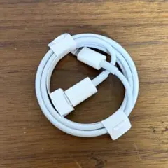Apple純正lightningケーブル