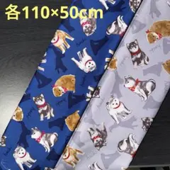 【1点限定】しば犬柄生地　オックス　2点　《各110×50cm》