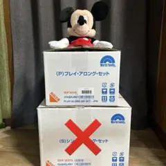 新品未使用　プレイアロング　フルセット　（おまけシングアロングCD絵本）