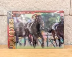 サラブレッドホースコレクション クロワデュノール 北村友一 - メルカリ