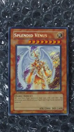 2026年最新】ザ・スプレンディッド・ヴィーナスの人気アイテム - メルカリ