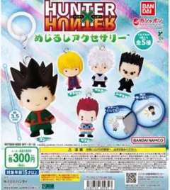 HUNTER×HUNTER めじるしアクセサリー コンプリートセット 5個 全種