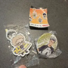 くら寿司コラボ ハイキュー めじるしチャーム月島 蛍 缶バッジ　木兎光太郎