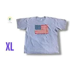【各種割引】Made in the USA アメリカ製 プリント Tシャツ XL