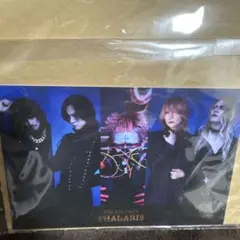 DIRENGREY ステッカー　特典　PHALARIS