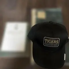 Item thumbnail for item 74cc22f3-3d54-4291-9ca3-4791bdd8019b