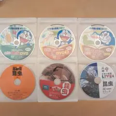 【まとめ売り特価】昆虫図鑑DVD　6枚セット
