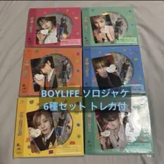 boylife ソロ ジャケ 6枚 セット