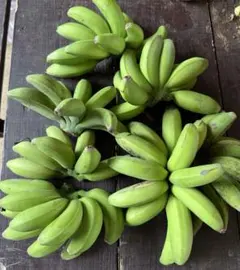 石垣島産 自然栽培 バナナ3種食べ比べセット 3kg 石垣島産 自然栽培 バナナ3種食べ比べセット 3kg - メルカリ
