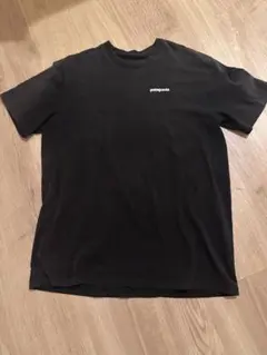 patagonia Lサイズ