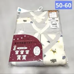 Item thumbnail for item 621c6baa-7dd5-446b-a45e-f1280ea4f31a