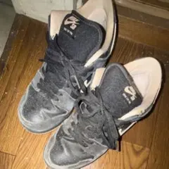 DUNK LOW PRO BLACK & WASHD CORAL