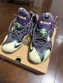 美品 希少 NIKE Lebron 15 XV レブロン バッシュ 29cm - メルカリ