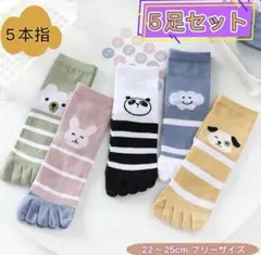 パンダ五本指 かわいい5足セット 靴下 レディース まとめ売り おしゃれ 婦人用
