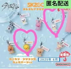 SKZOO　ガチャ　めじるしアクセサリー　ポガリ＆ジニレット