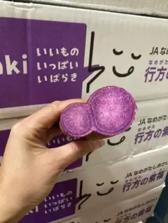 483.超人気希少行方の紫福ふくむらさきいも箱込み5kg美味しい品種本数