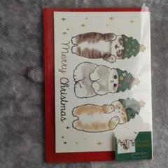 ポップアップクリスマスカード 猫