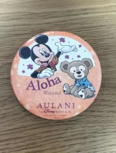 アウラニディズニーリゾート缶バッチ【非売品】