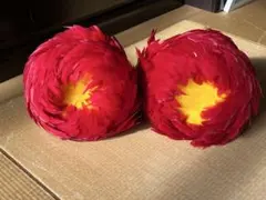 フラダンス ウリウリ2個セットのサムネイル