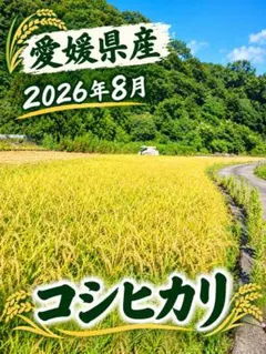 農家直送】令和7年産長野県安曇野市産コシヒカリ玄米5kg - メルカリ