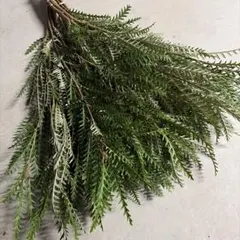 pp...様 リクエスト 2点 まとめ商品