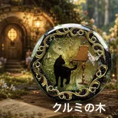 限定レア☆リサ パーカー キャット コイン 猫 カラー銀貨 1oz 純銀