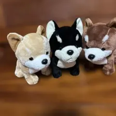 犬のぬいぐるみ 3色セット