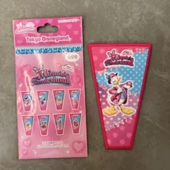 ディズニーランド　ミニーのファンダーランド　ワッペンアクセサリー　ドナルド